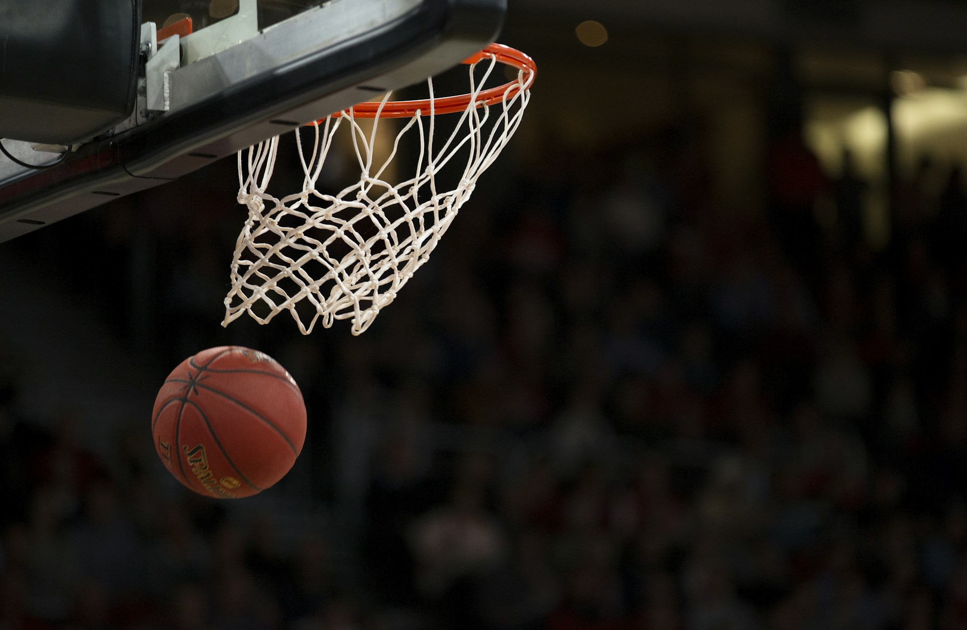 LUDΞX — The Pulse of Sports